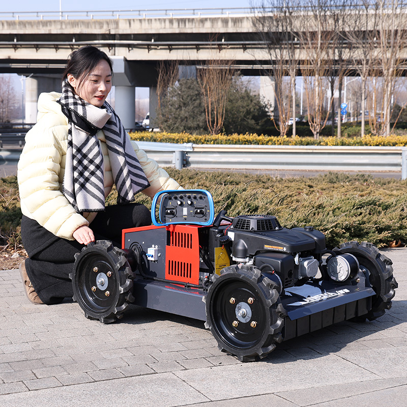 Customized Factory 500mm Diese - đánh giá và giá Hedge Trimmer Cordless