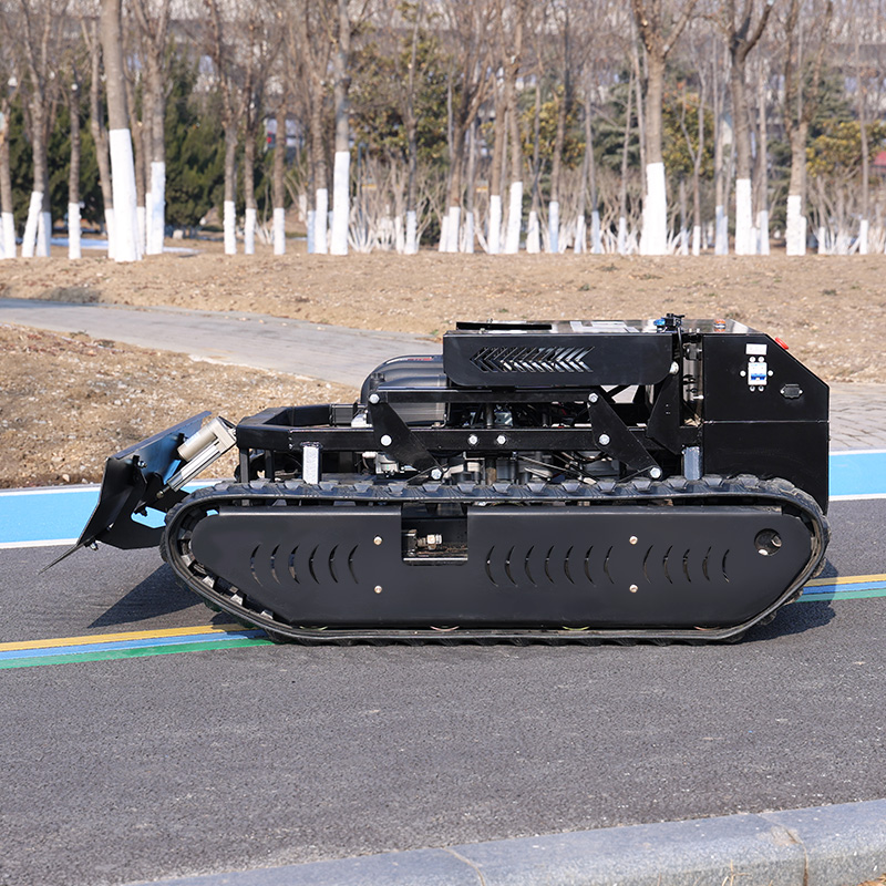 Customized Tracked Remote Cont - đánh giá và giá Hedge Trimmer Cordless