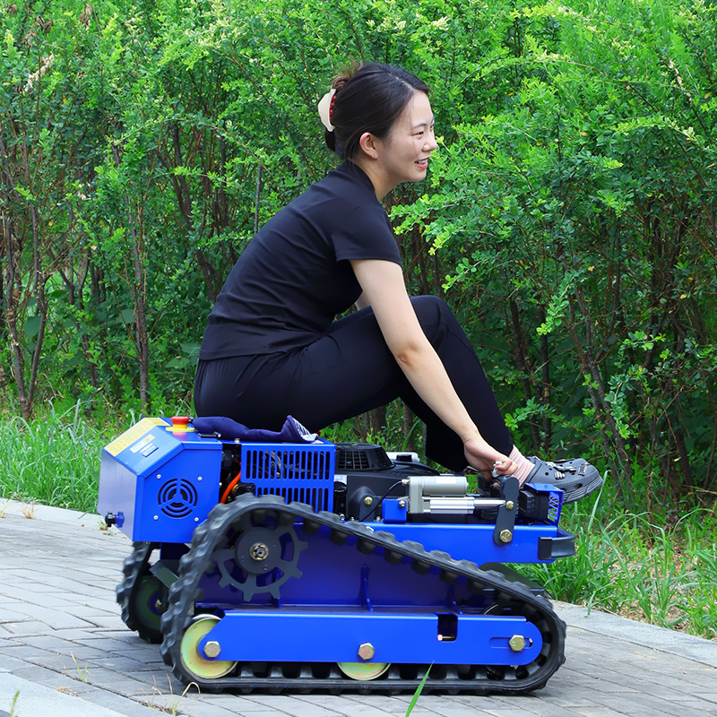 Customized Remote Controlled G - đánh giá và giá Hedge Trimmer Cordless