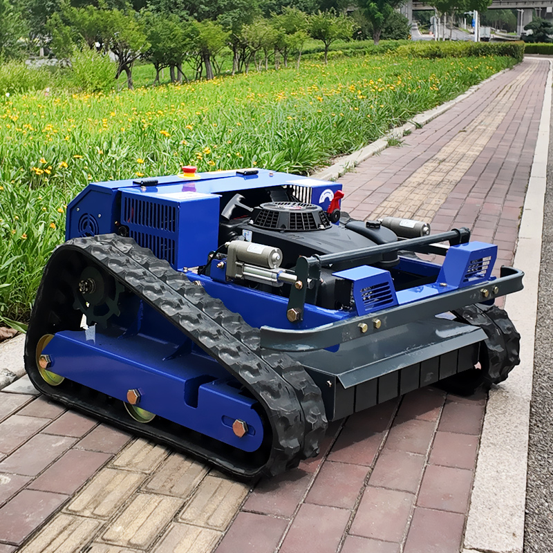 Customised CE EPA Certified Sm - đánh giá và giá Hedge Trimmer Cordless